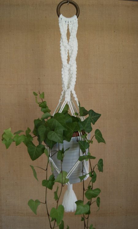 Suspension plante Maeva